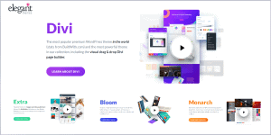 elegant themes divi